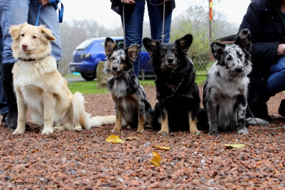 Mick Grace Stella Leyla Mick Grace Stella Leyla