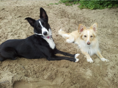 Naima und Oakie Juli 2012 Naima und Oakie Juli 2012