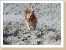 Auf Texel Auf Texel