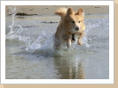 Auf Texel Auf Texel