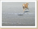 Auf Texel Auf Texel