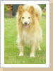 Wann wirfst du endlich den Ball? Wann wirfst du endlich den Ball?