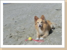 Auf Texel Auf Texel