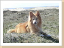 Auf Texel Auf Texel