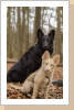 Mit seinem 1 Jahr älteren Bruder Oskar Mit seinem 1 Jahr älteren Bruder Oskar