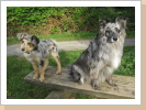 Bailey mit Onkel Charlie Bailey mit Onkel Charlie
