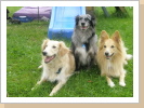 Lupita, Emily und Basco- Tochter, Mutter und Sohn Lupita, Emily und Basco- Tochter, Mutter und Sohn