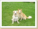 Lupita und Basco Lupita und Basco