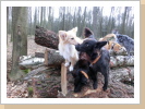 Ein Küsschen von Oakie an Lassie Ein Küsschen von Oakie an Lassie