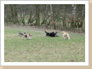 Übers Feld fetzen 1 Übers Feld fetzen 1