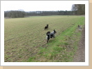 Übers Feld fetzen 3 Übers Feld fetzen 3