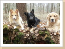 Basco, Stella und Debby Basco, Stella und Debby