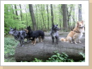 Josy, Lia, Jamie und Basco Josy, Lia, Jamie und Basco