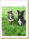 Pelle und Emil Pelle und Emil