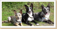Picco, Naima und Jamie Picco, Naima und Jamie