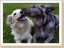 Lupita und Sam - Geschwisterliebe Lupita und Sam - Geschwisterliebe