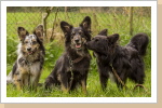 Grace, Mama Stella und Vos Grace, Mama Stella und Vos