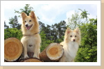 Basco und Tochter Oakie Basco und Tochter Oakie
