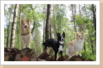 Basco, Naima und Oakie Basco, Naima und Oakie