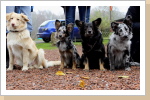Mick, Grace, Mama Stella und Leyla Mick, Grace, Mama Stella und Leyla