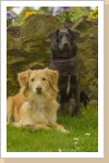 Rani und Nala Rani und Nala