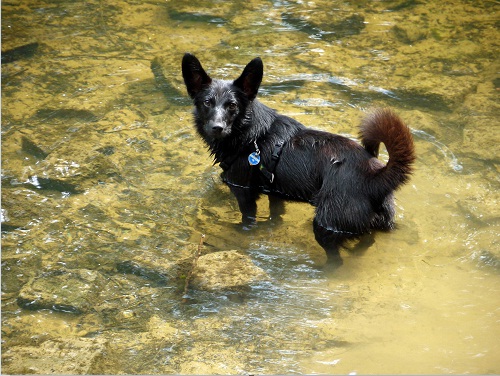 Munim geht schwimmen